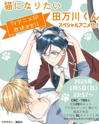 猫になりたい田万川くん
