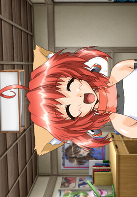 みんなでニャンニャン