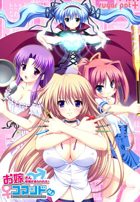 お嫁さん候補があらわれた! コマンドは?