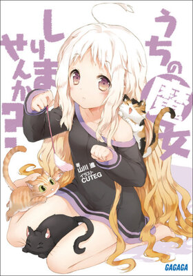 うちの魔女しりませんか？