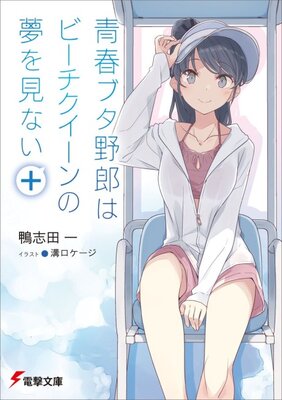 青春ブタ野郎はビーチクイーンの夢を見ない+