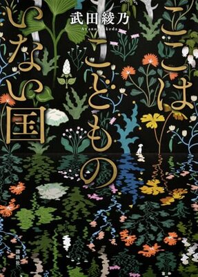 Koko wa Kodomo no Inai Kuni