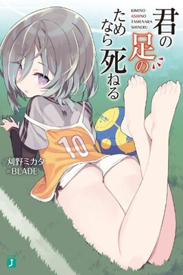 Kimi no Ashi no Tamenara Shineru