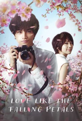 Sakura no Youna Boku no Koibito